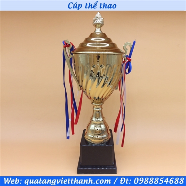 Cup thể thao 3018